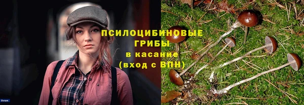 синтетический гашиш Нефтекумск