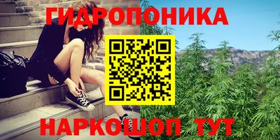 мдпв Гусь-Хрустальный