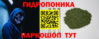 прущие грибы Гусиноозёрск