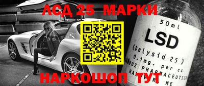 прущие грибы Гусиноозёрск
