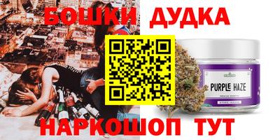 прущие грибы Гусиноозёрск