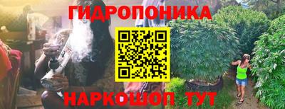 мдпв Гусь-Хрустальный